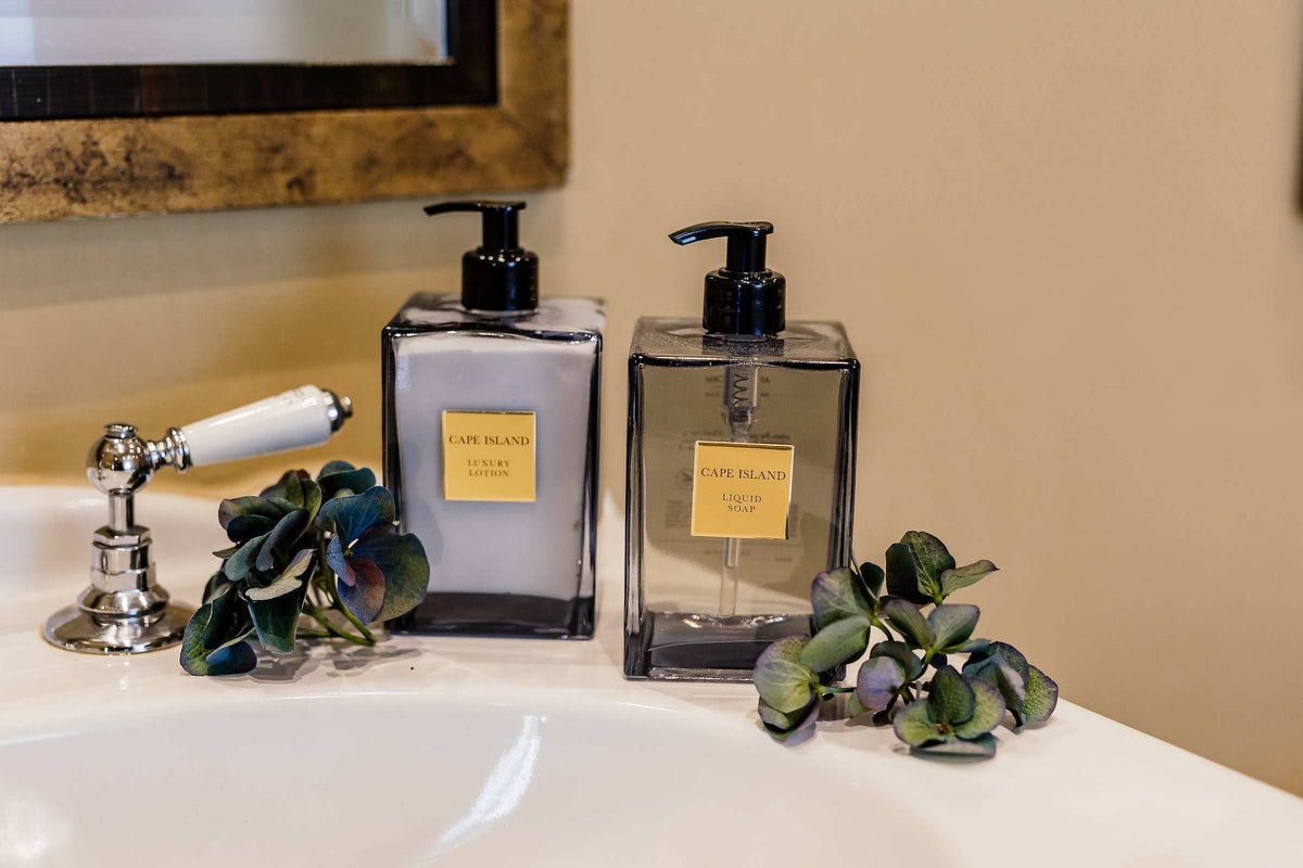 Liquid soap and lotion beside a basin